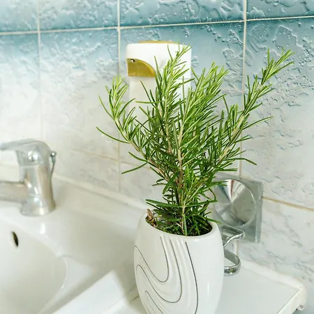 Obala Apartamento Zadar