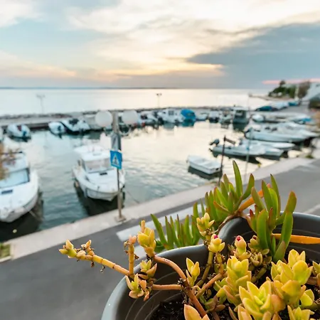 Obala * Zadar